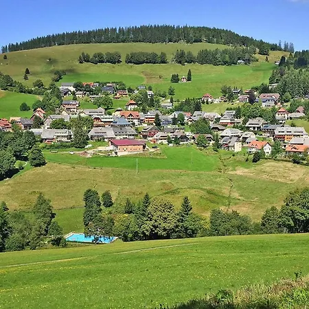 Apartment, Apartmán Todtnauberg