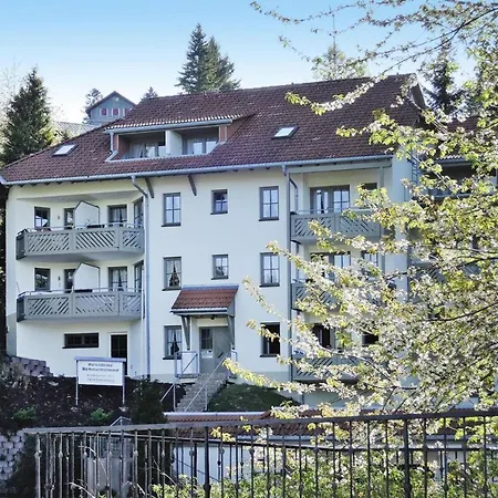 Apartment, Todtnauberg